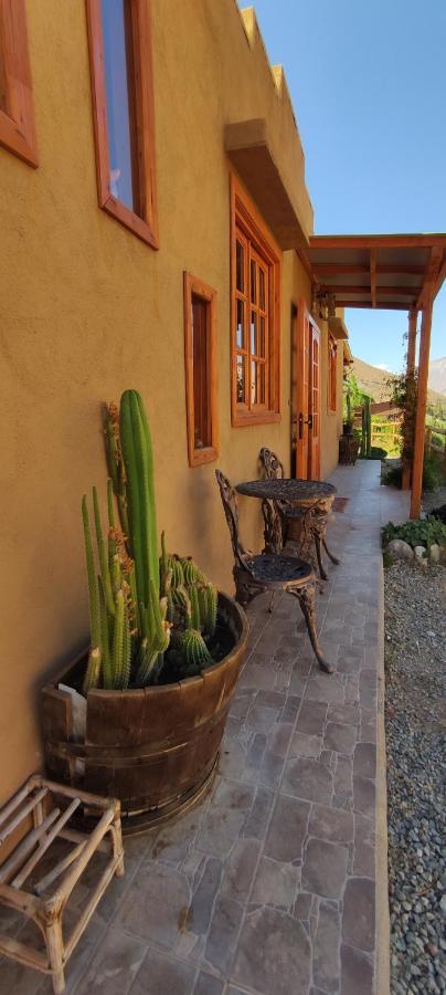 Casa Jardin De Hadas Con Vista Panoramica Pisco Elqui Εξωτερικό φωτογραφία