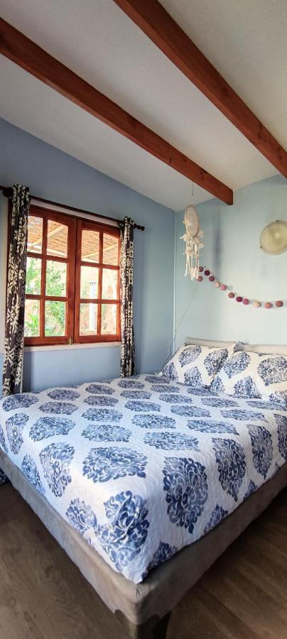 Casa Jardin De Hadas Con Vista Panoramica Pisco Elqui Εξωτερικό φωτογραφία