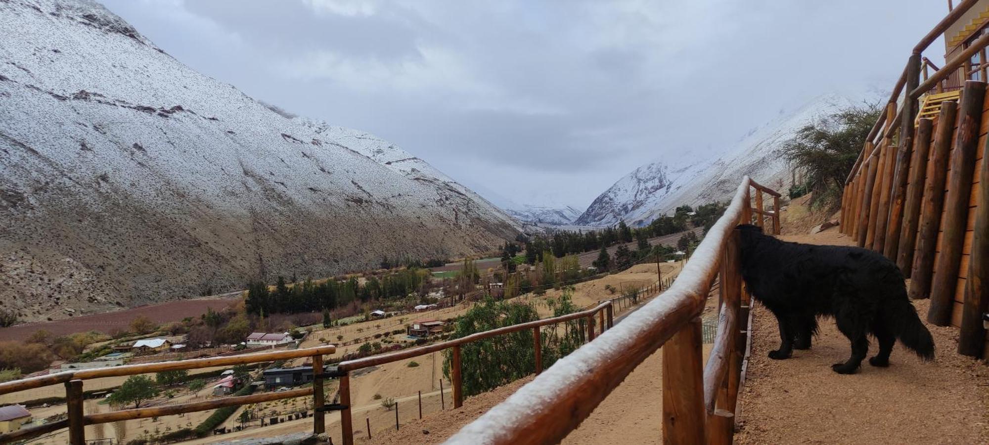Casa Jardin De Hadas Con Vista Panoramica Pisco Elqui Εξωτερικό φωτογραφία